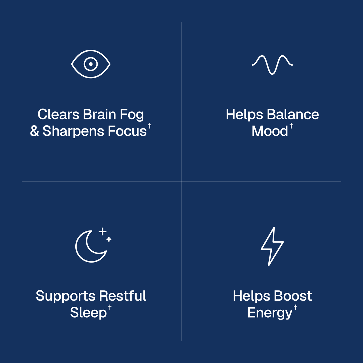 Perimenopause Daily Support
